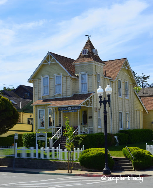 Victorian house