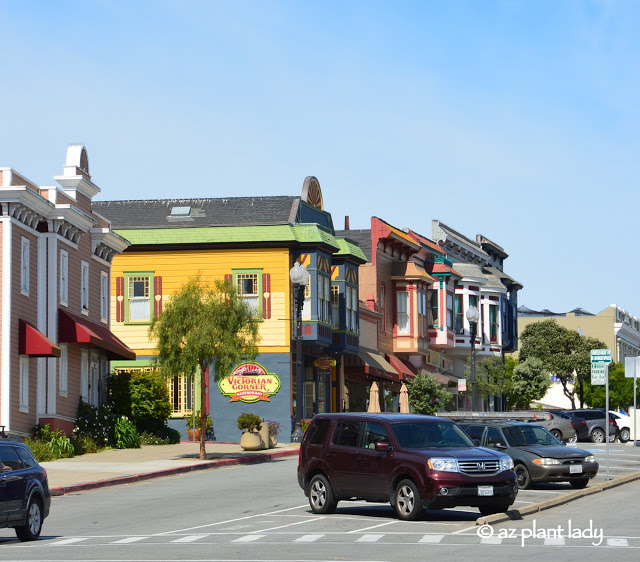 colorful Victorian homes