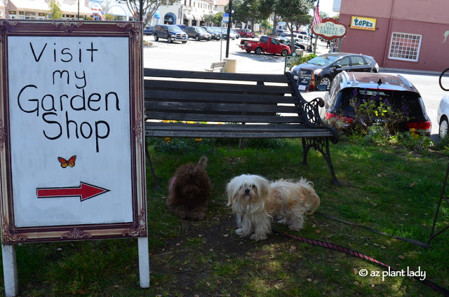  little garden shop