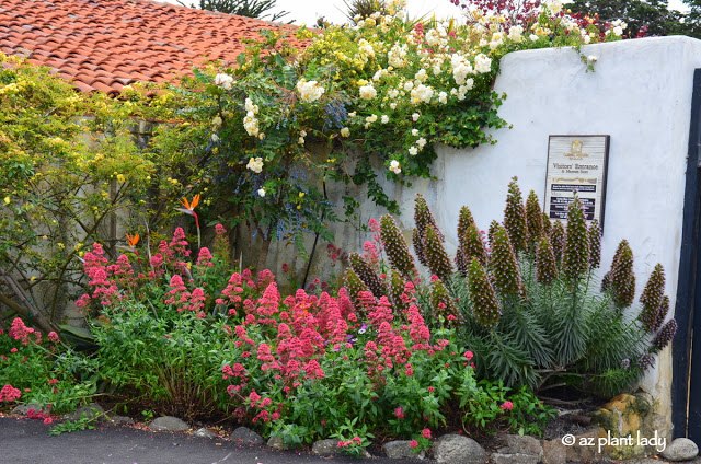 Carmel Mission