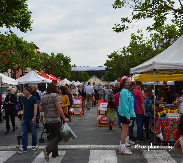 Farmers' Market