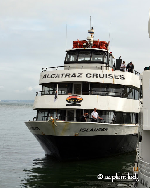 island of Alcatraz