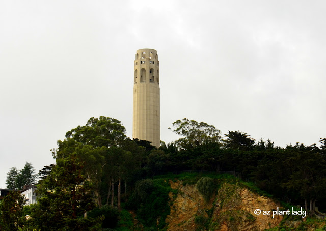 Coit Tower