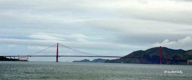 Golden Gate Bridge 