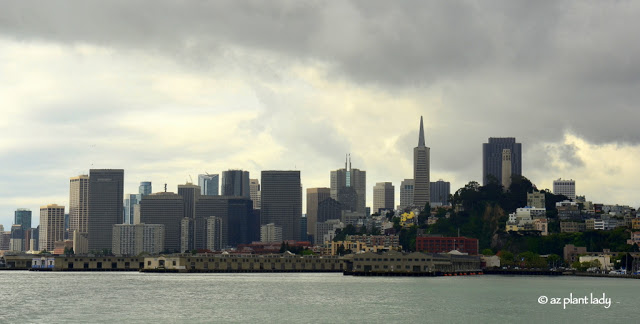 Alcatraz Island