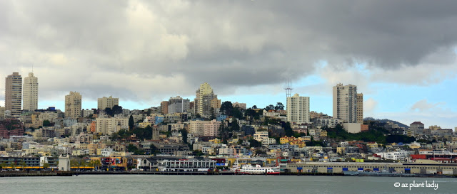 Alcatraz Island