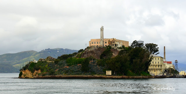 22-acre island