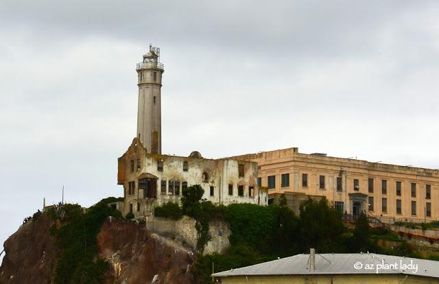 California Road Trip: Day 8 - The Gardens of Alcatraz