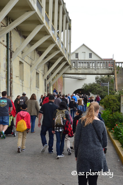 California Road Trip: Day 8 - The Gardens of Alcatraz