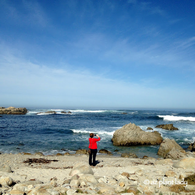 beach and explore the tidal pools and the beaches.