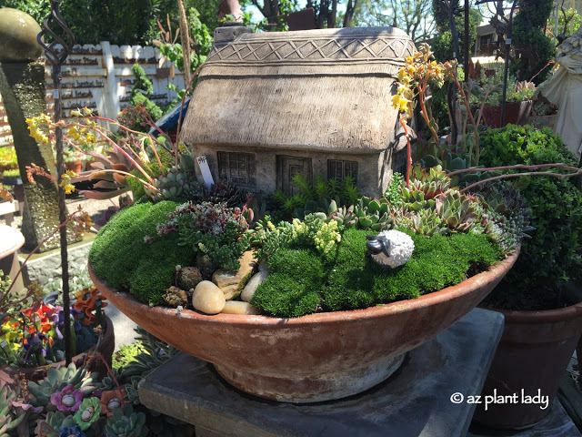 A combination of moss and succulents help create this fairy farm