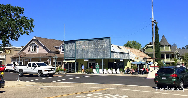 wine tasting rooms, stores offering olive oil tasting 