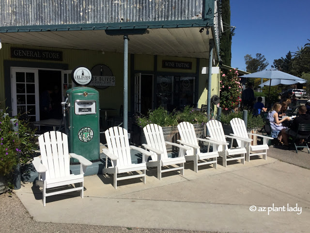 wine tasting rooms, stores offering olive oil tasting 