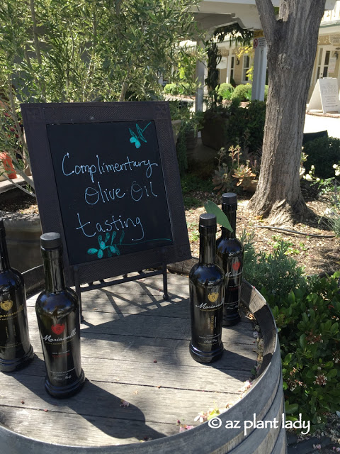 wine tasting rooms, stores offering olive oil tasting 