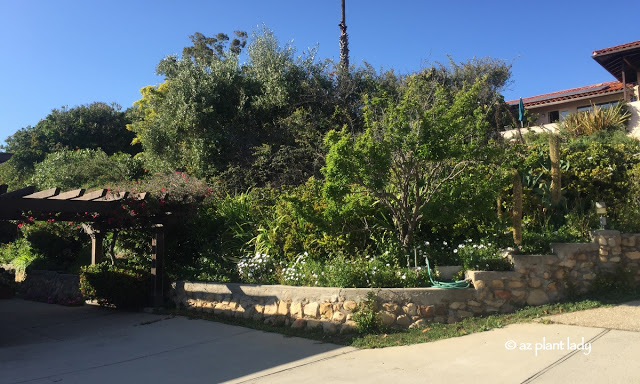 California Road Trip: Day 2.5 - Avocado Trees, Fairy Gardens, Wineries and Family Dinner