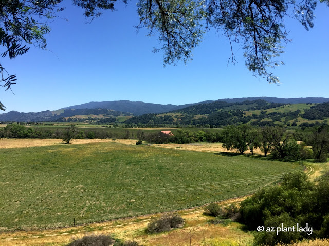 Santa Ynez Valley 