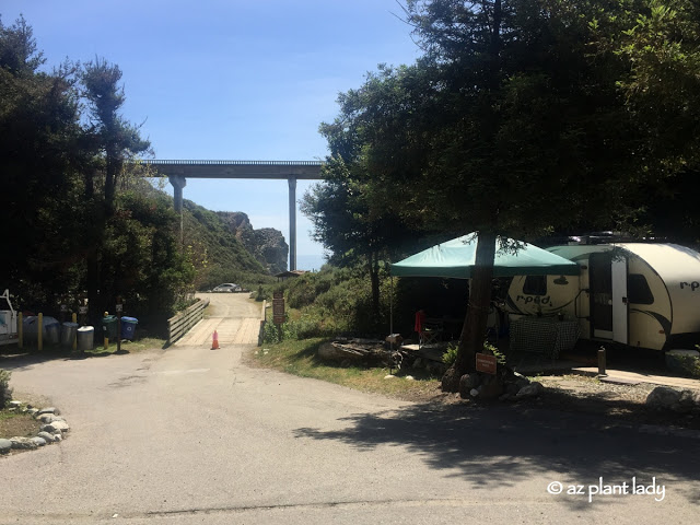 California Road Trip: Day 5 – A Volcano, Whales, Rocky Shores and an Unexpected Hitchhiker