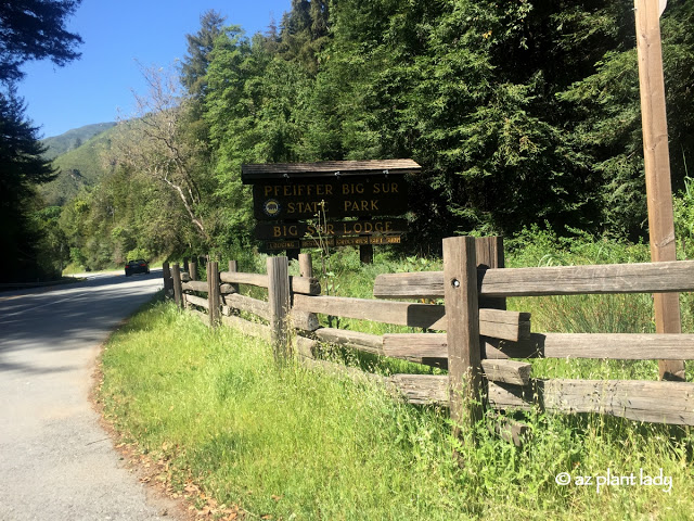 Big Sur Lodge