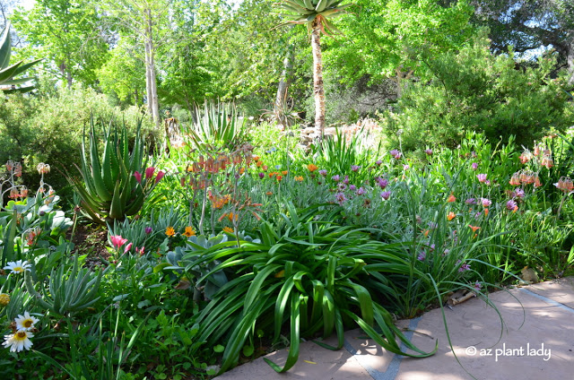 very secret garden , Taft Garden