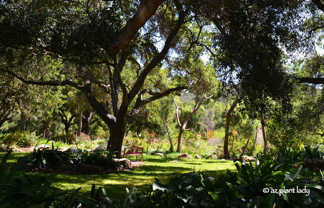 very secret garden , Taft Garden