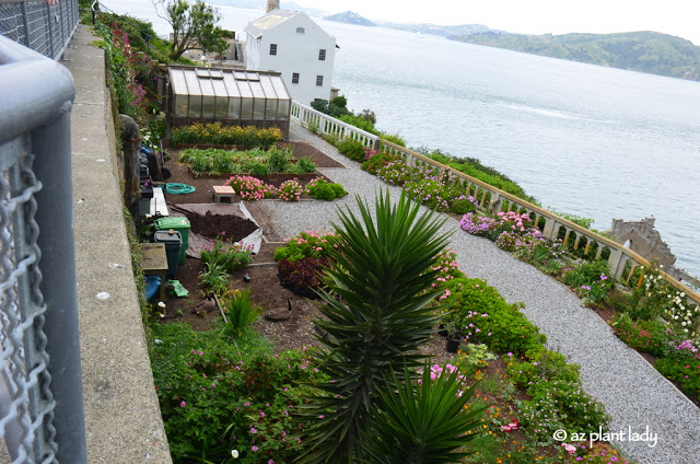  Gardens of Alcatraz