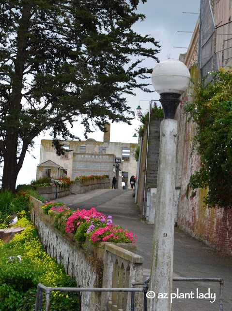 visit Alcatraz