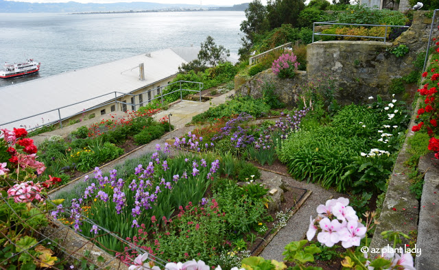 Officer's Row Gardens.