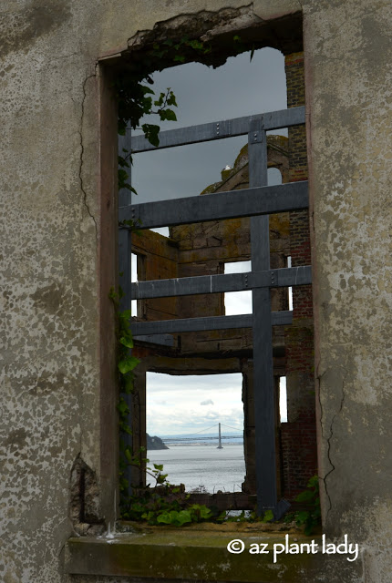  Gardens of Alcatraz