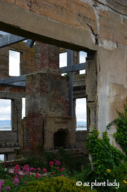  Gardens of Alcatraz