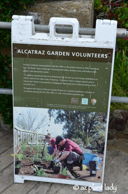  Gardens of Alcatraz
