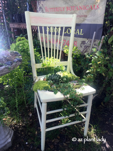 chairs planters