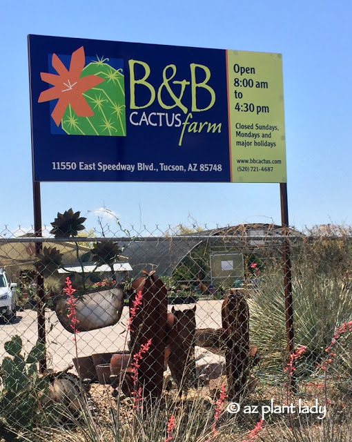 B&B Cactus Farm