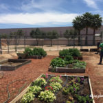 School Garden Visit