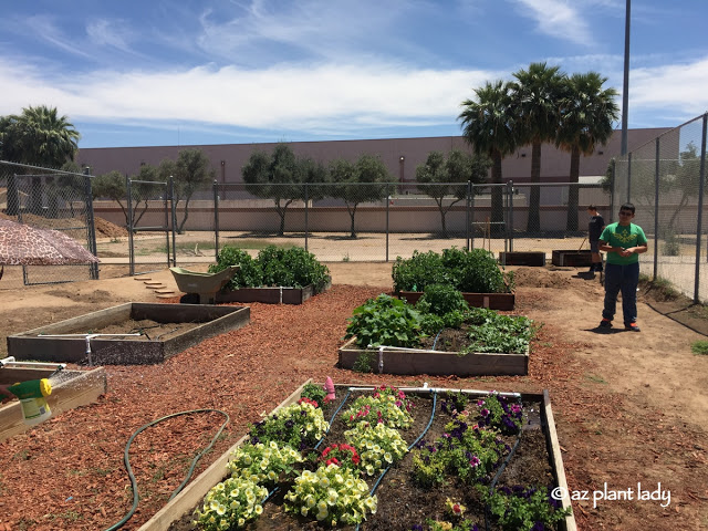 School Garden Visit