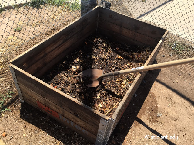 School Garden Visit