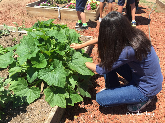 School Garden Visit