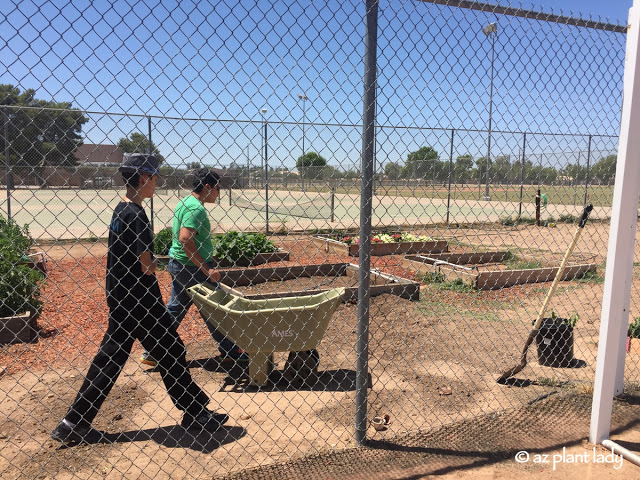 School Garden Visit