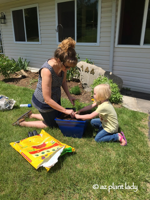 Gardening With Kids: Painting and Planting a Flower Pot