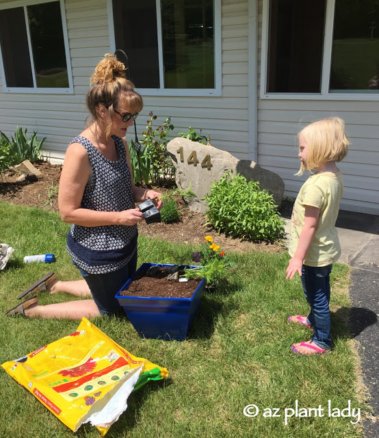 we planted the flowers