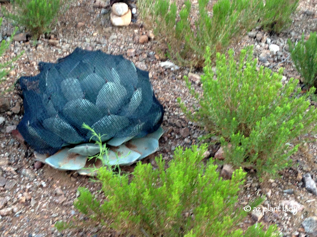 shade sheilding for heat proof garden