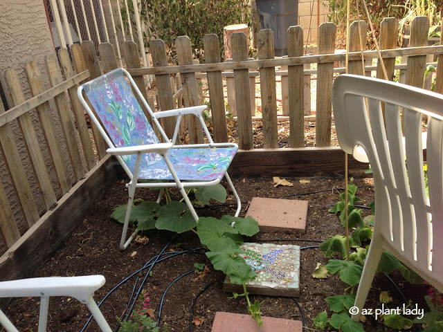 lawn chairs placed on top of plants