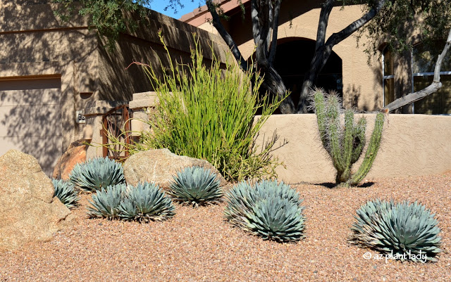 a heat proof garden