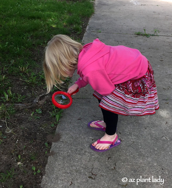 Plastic Magnifying Glass