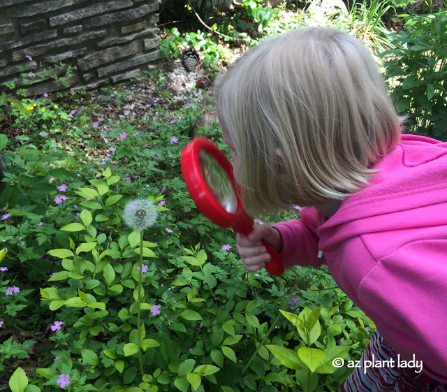 Plastic Magnifying Glass