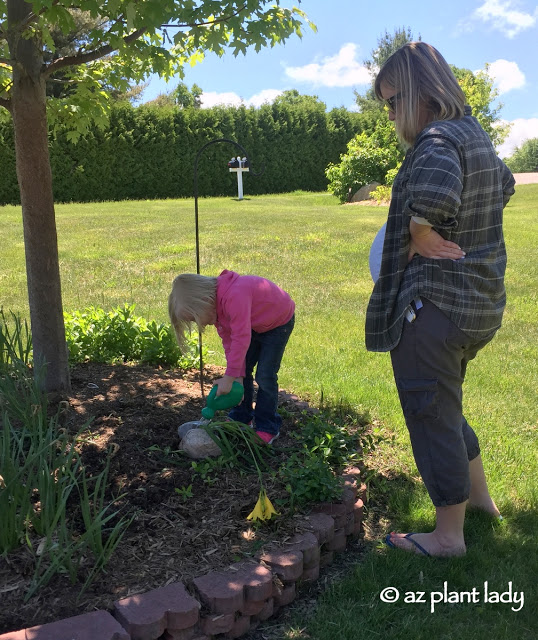 Gardening In a New Climate: Putting Your Own Personal Stamp on Your Garden