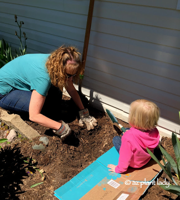 How to Gardening In a New Climate, Get your kids involved - they will have fun while learning about nature at the same time.  (A recycled cardboard box makes a great temporary knee rest or place to sit).