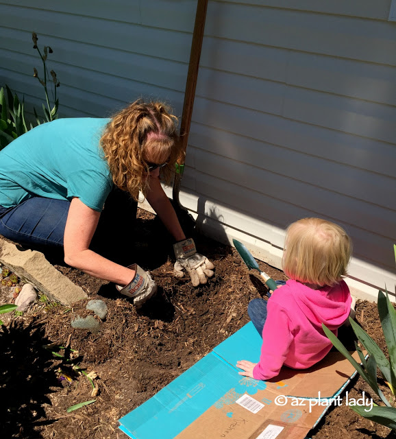 How to Gardening In a New Climate, Get your kids involved - they will have fun while learning about nature at the same time. (A recycled cardboard box makes a great temporary knee rest or place to sit).
