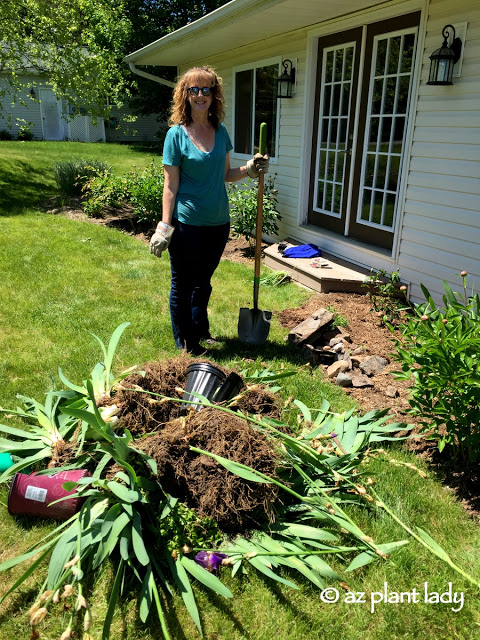 How to Gardening In a New Climate, It was a lot of work, but we got it done.