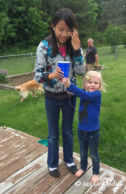 While weeding the vegetable garden, my youngest daughter, and granddaughter found a tiny frog.