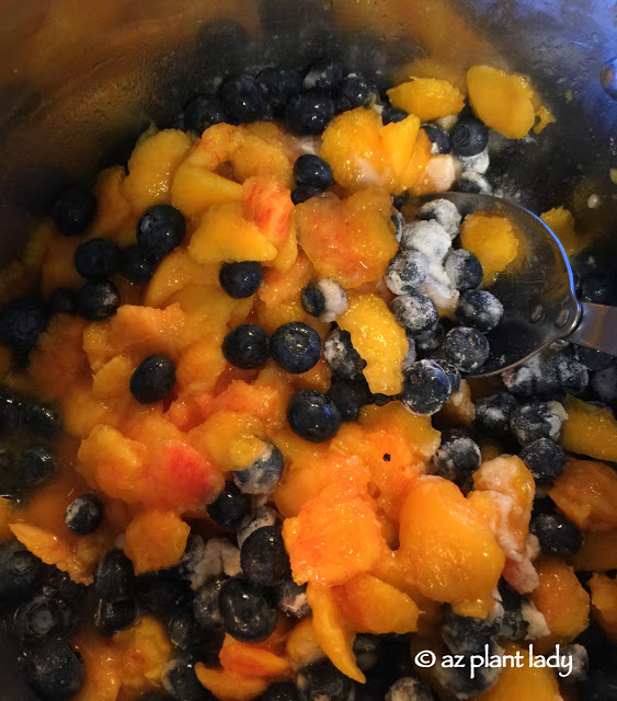 Jam Recipes Making Nectarine and Blueberry Jam